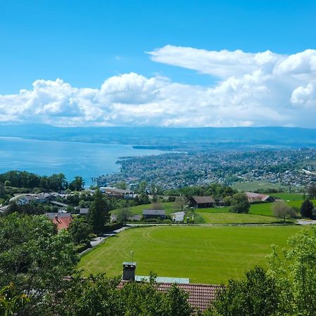 Lakeview Apartment-Lavaux غراندفو المظهر الخارجي الصورة
