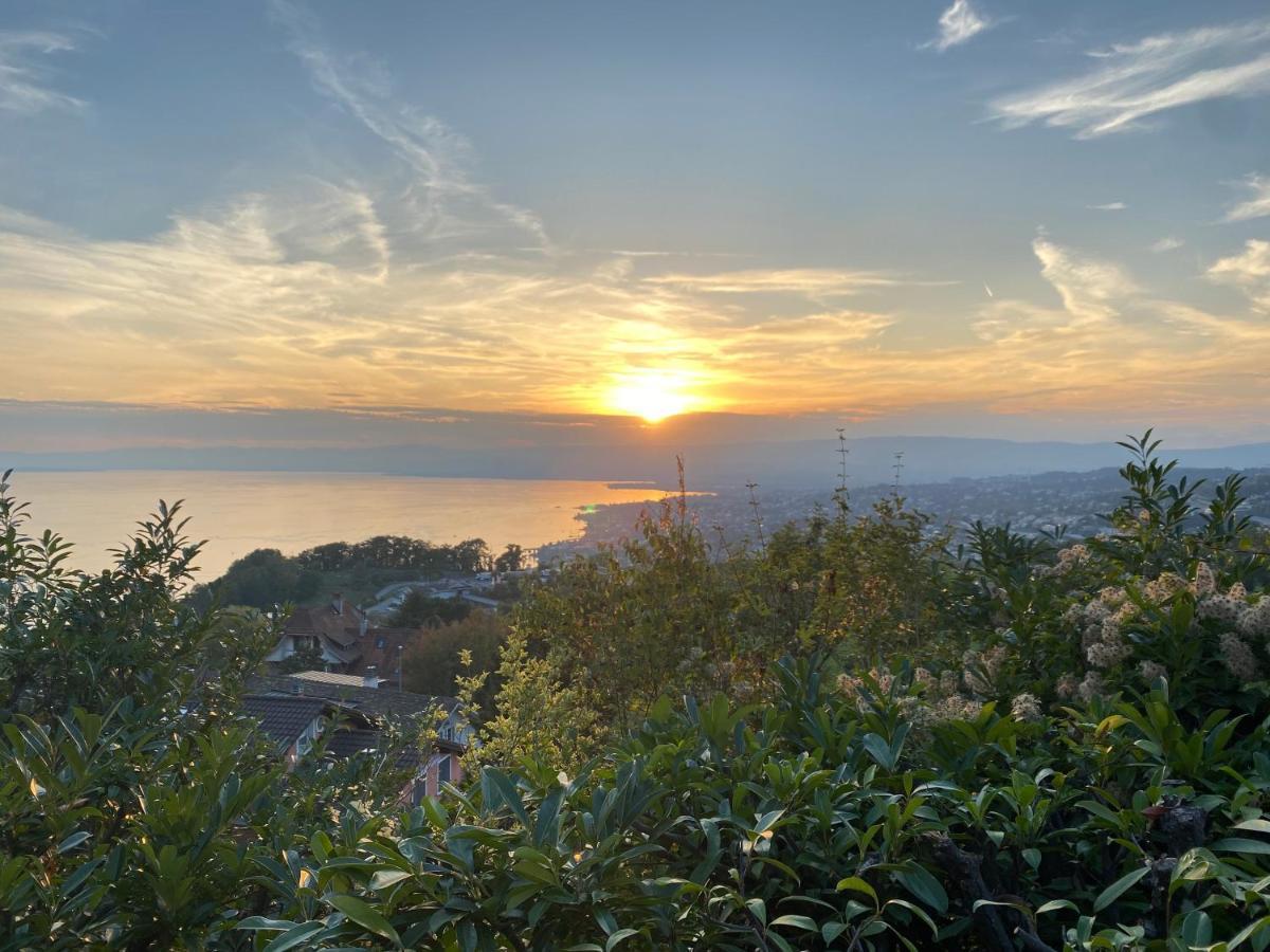 Lakeview Apartment-Lavaux غراندفو المظهر الخارجي الصورة