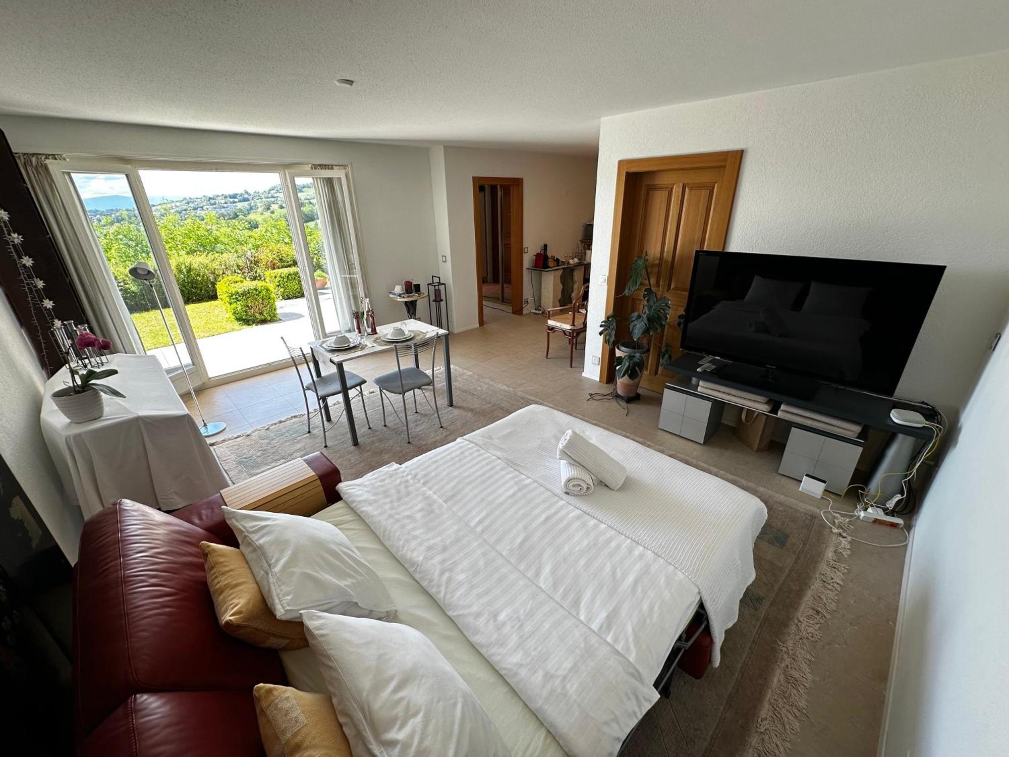 Lakeview Apartment-Lavaux غراندفو المظهر الخارجي الصورة