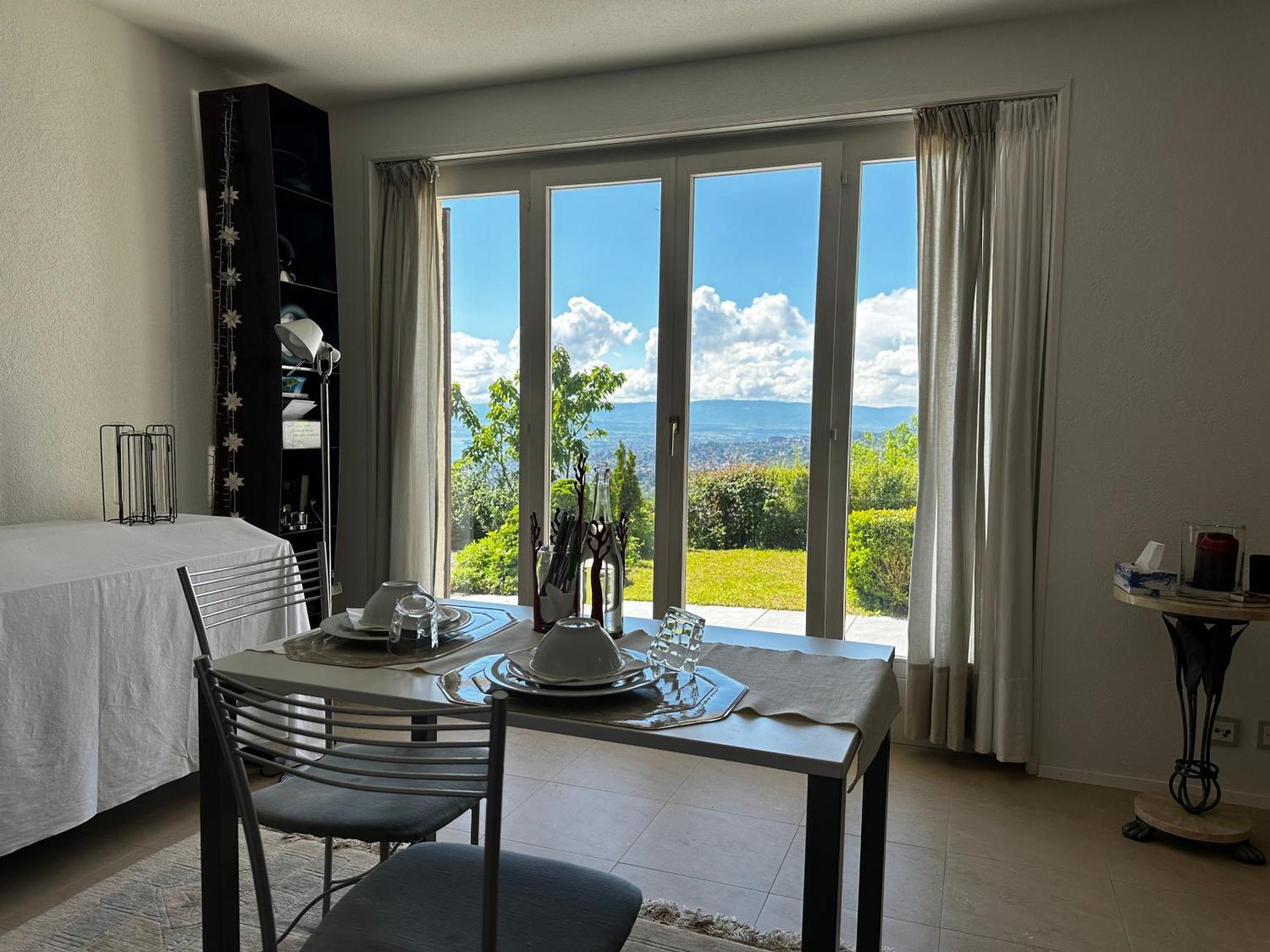 Lakeview Apartment-Lavaux غراندفو المظهر الخارجي الصورة